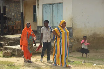 DSC_8726 (Large).JPG